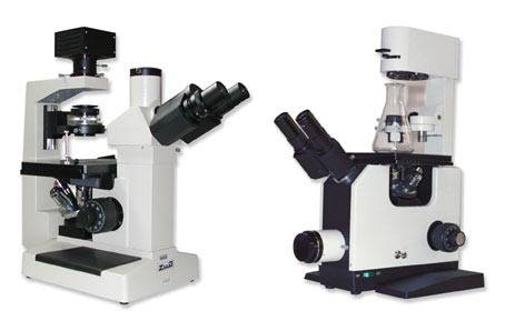 microscopios biológicos invertidos modelos 181, 182